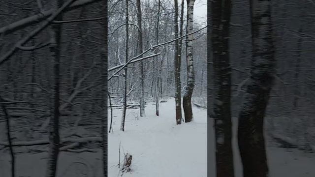 5 января- сказка начинается ...#красота #зима #таинственное смотреть онлайн