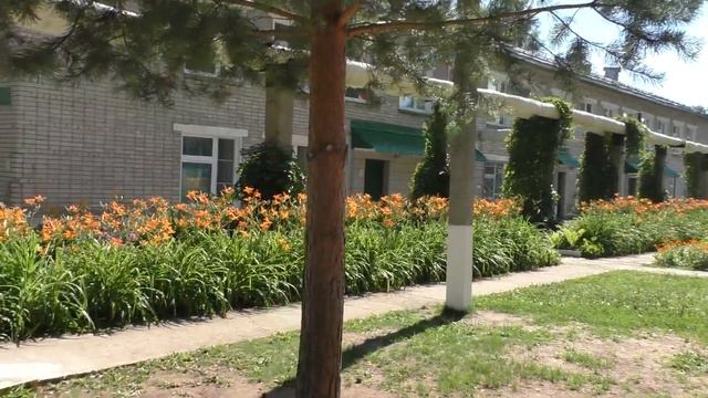 группа-Василёк на прогулке смотреть онлайн