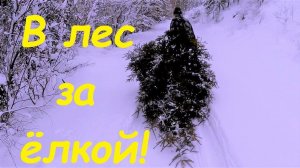 Подготовка к новому году в деревне. Ёлка на катке. Влог.