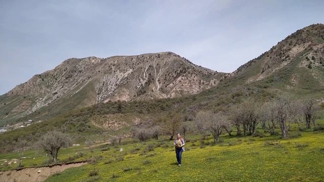 Чимган, Козлиное ущелье, Западный Тянь-Шань, смотреть онлайн