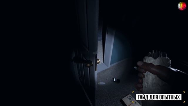 ГАЙД ДЛЯ ОПЫТНЫХ - Phasmophobia | НОВЫЕ ПРИЗРАКИ, ОБНОВЛЕНИЕ, ДОСКА УИДЖИ смотреть онлайн