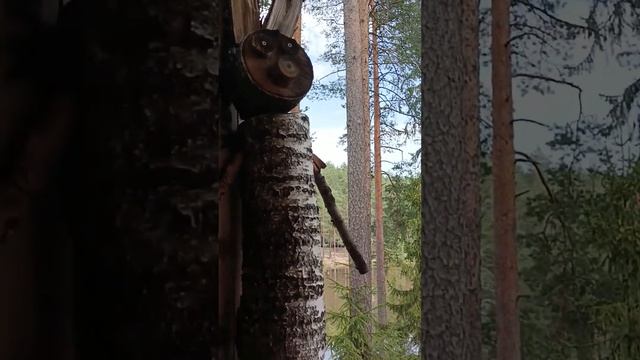 как выглядит настоящий бабайка смотреть онлайн
