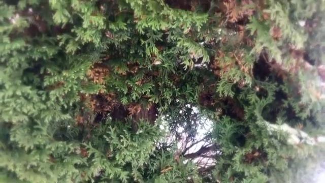МОИ ЗИМНИЕ КАНИКУЛЫ ! ❄️ смотреть онлайн