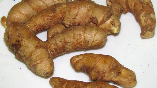 Curcuma Amada | Wikipedia Audio Article