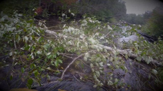 Рыболовные бюджетные вейдерсы PISCIFUN. Обзор смотреть онлайн