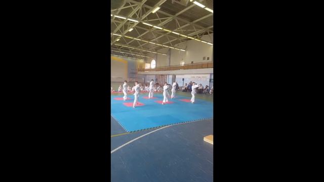 Тхэквондо Никита Кузнецов смотреть онлайн