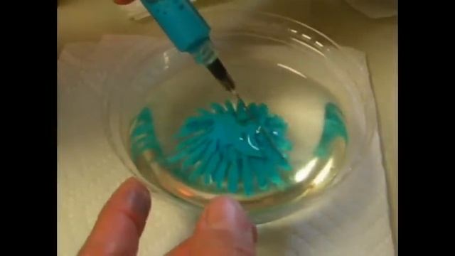 STEP BY STEP HOW TO MAKE DALHIA IN GELATIN BY KIDAILAND смотреть онлайн