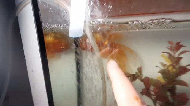 Искусство и Собственное Творение