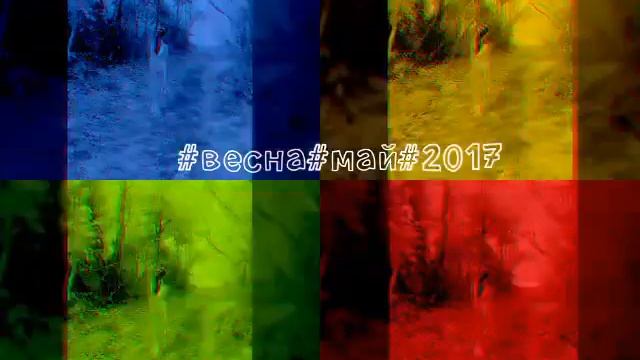 #весна?#май☀#новое#видео?#кира#волкова? смотреть онлайн