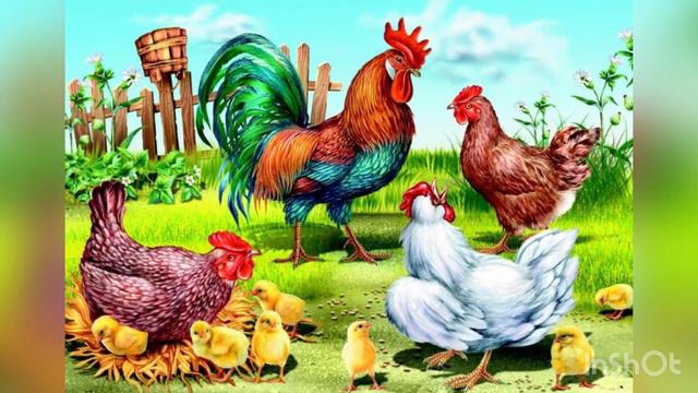 Мовленнєвий розвиток «Свійські птахи » смотреть онлайн