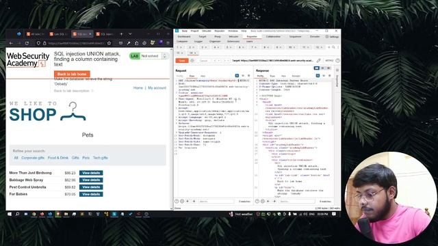 SQLi Lab 8: SQL injection UNION attack, finding a column containing text смотреть онлайн