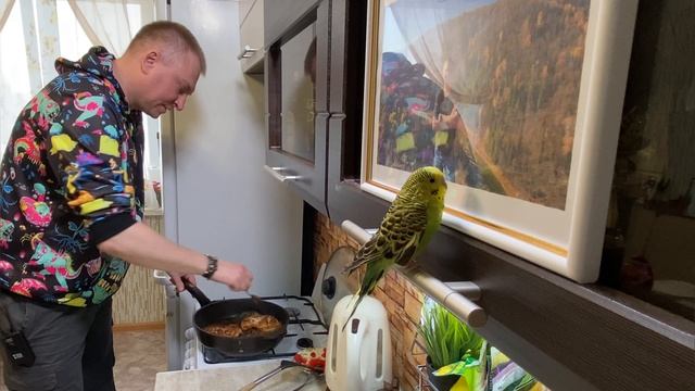 куриная грудка.MP4