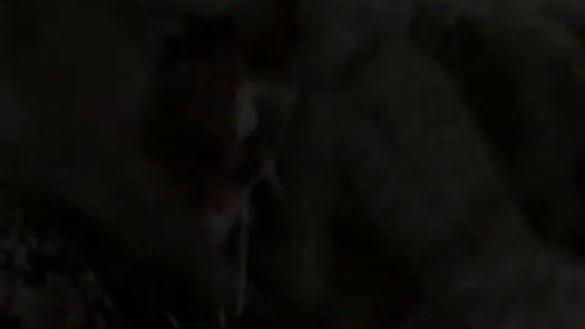 Гуцульські Ромео і Джульєтта (характеристика Марічки й Івана. "Тіні забутих предків") смотреть онлайн