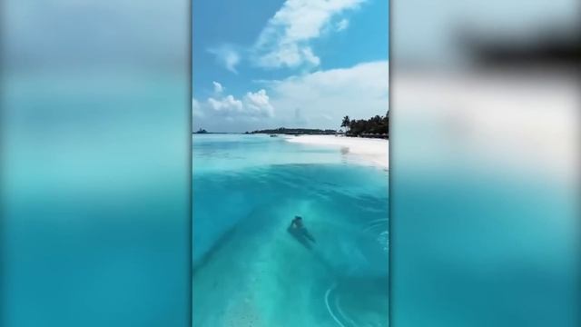Если Бы Это Не Сняла Камера, Никто бы Точно не Поверил смотреть онлайн