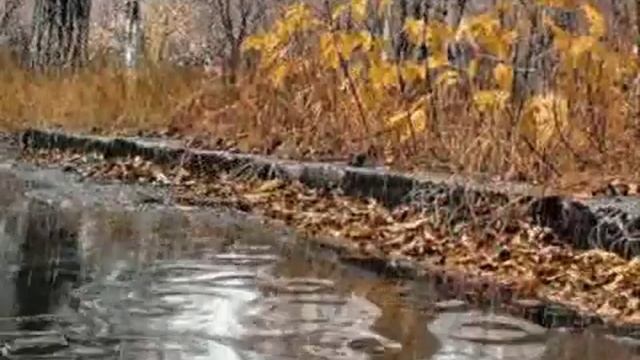 ОДА КРАСИВОЙ ЖЕНЩИНЕ смотреть онлайн