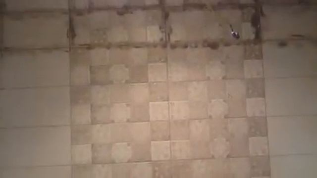 Как я доделал объект, бюджетный ремонт ванны в Волгограде смотреть онлайн