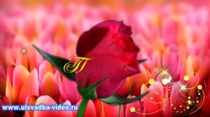 Футаж 8 Марта.  Праздник в детском саду