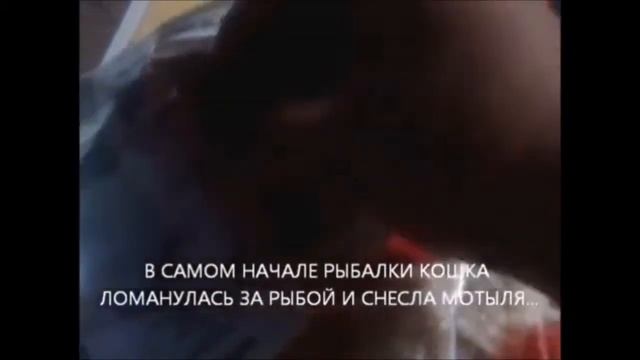 СИТО ДЛЯ ПРОБИВКИ МОТЫЛЯ СВОИМИ РУКАМИ... смотреть онлайн