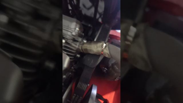 бурлак беркут 260 км 6 февраля 2024 г.