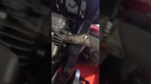 бурлак беркут 260 км 6 февраля 2024 г.