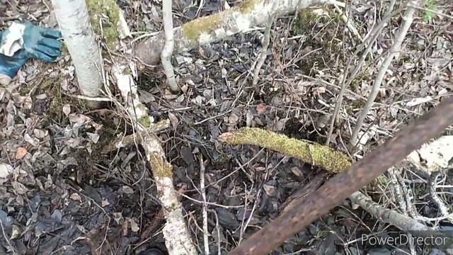 Обычный день копаря в Новгородских лесах смотреть онлайн