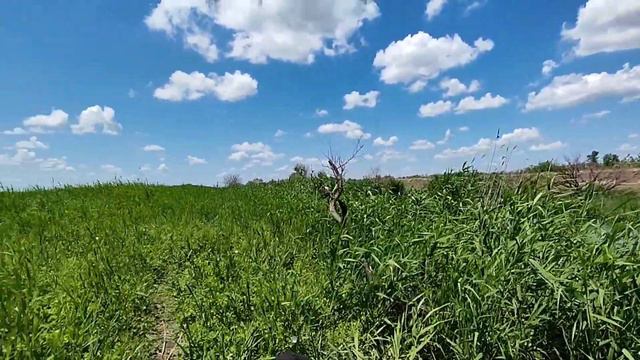 Рыбалка на Львовских номерах. Бабаюртовский район. Дагестан. 01.07.2023. @Zaur_Devetov смотреть онлайн