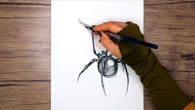 How to draw a realistic spider step by step | Spider Drawing Tutorial смотреть онлайн