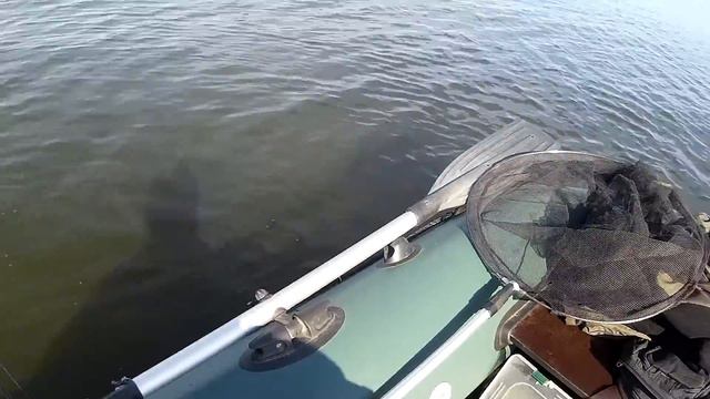 Ловля судака на Днепре на джиг\ Черкассы\ смотреть онлайн