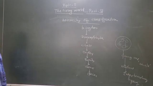 XI Science Lecture No.4 смотреть онлайн