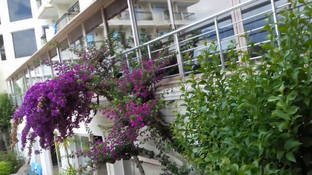 Kemer Drem Hotel 2017 смотреть онлайн