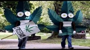 Кабриолет   Горит косяк и у тебя глаза горят