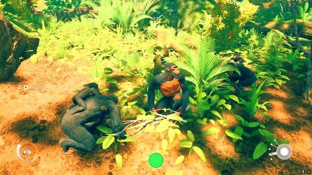Monkeys Sleep With Rock Python In Ancestors |Ep18 смотреть онлайн