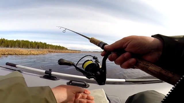 В поисках щуки... смотреть онлайн