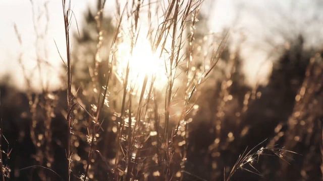 Видео 181 смотреть онлайн