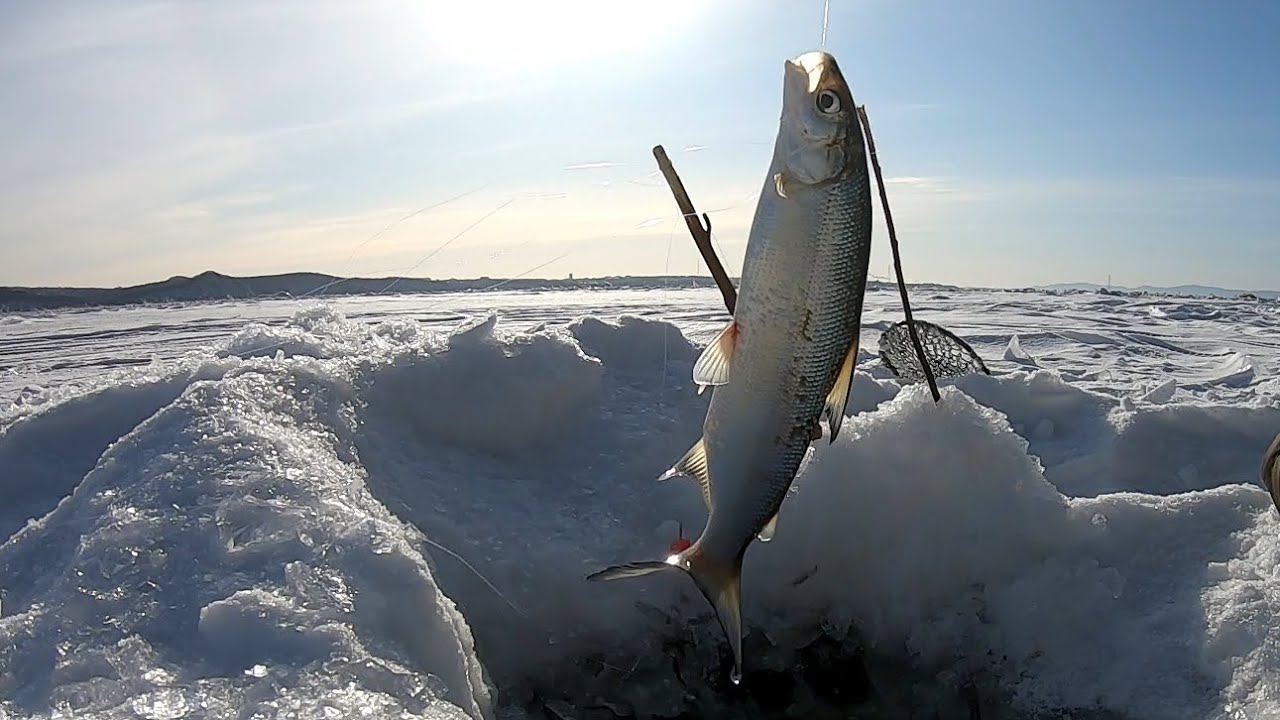 Коротко о сегодняшней Зимней рыбалке смотреть онлайн