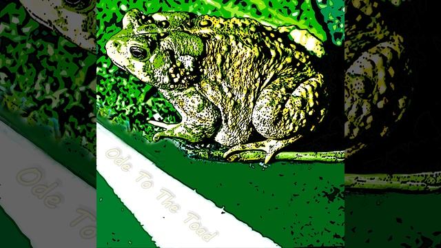 Ode to the Toad смотреть онлайн