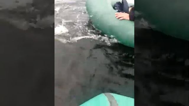 Рыбалка в Энгельсе, с. Квасниковка смотреть онлайн