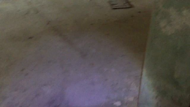 Бассейн как в Припяти|Заброшенный лагерь|Автобус в лесу. смотреть онлайн