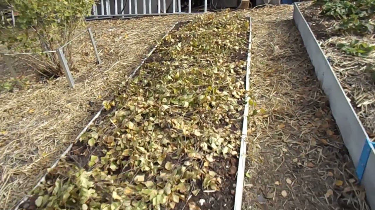 Высокая грядка из шифера (упрощение конструкции) смотреть онлайн