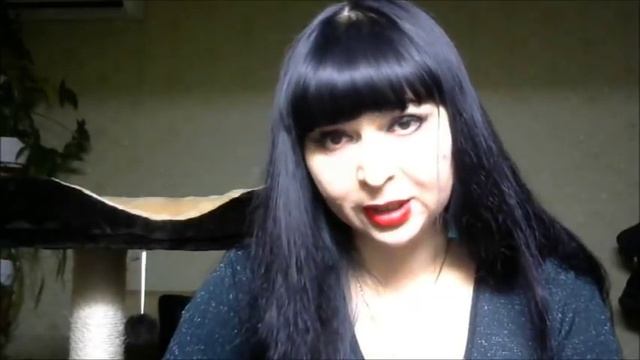 Укол кошке подкожно .Помощь при тяжелых родах у кошек и собак смотреть онлайн