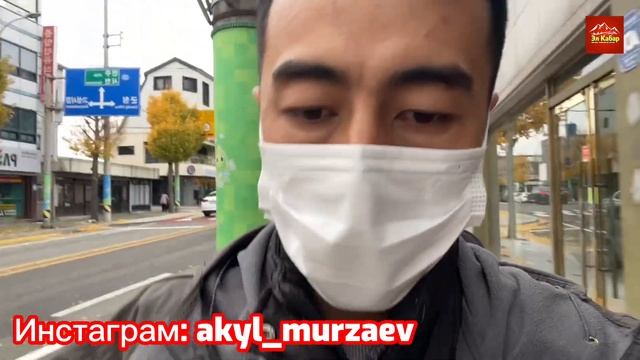 КОРЕЯГА кантип келсе болот? Акыл Мурза суроолорго жооп берет смотреть онлайн
