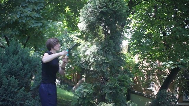 СТРИЖКА ТУЇ - ФОРМА СПІРАЛЬ смотреть онлайн