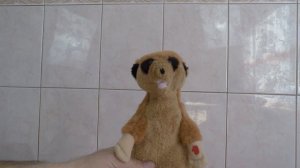 Интерактивная игрушка, Сурикат повторюшка (Peers Hardy Chatimal Meerkat)