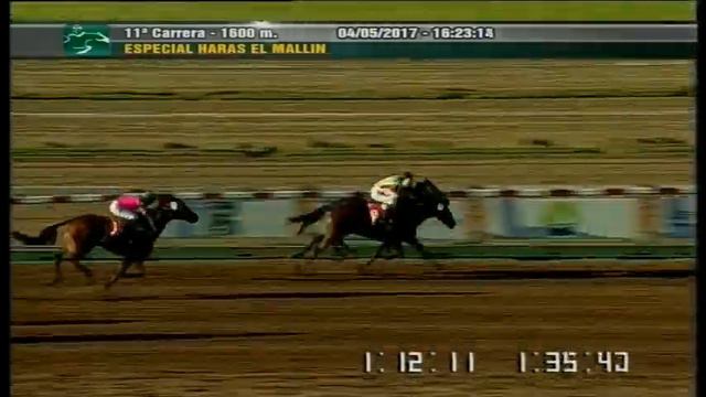 Carr.11 Especial Haras El Mallin 04-05-2017 смотреть онлайн