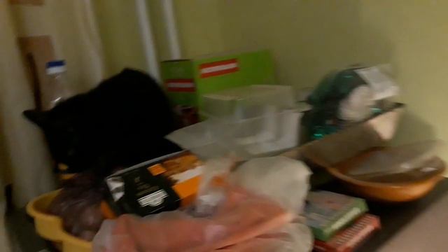 "Ценовая политика"3й пробный тест по Ценообразованию, и как сделать, чтобы учеба стала легкой смотреть онлайн