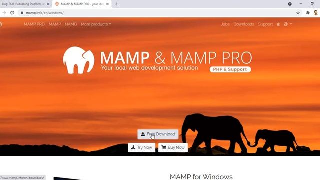 WordPress Web Development Course For Beginners Lecture 3 - How to Download MAMP смотреть онлайн