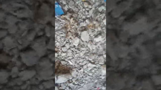 Дзот смотреть онлайн