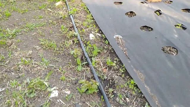Устройство нашего капельного полива на участке 2 смотреть онлайн