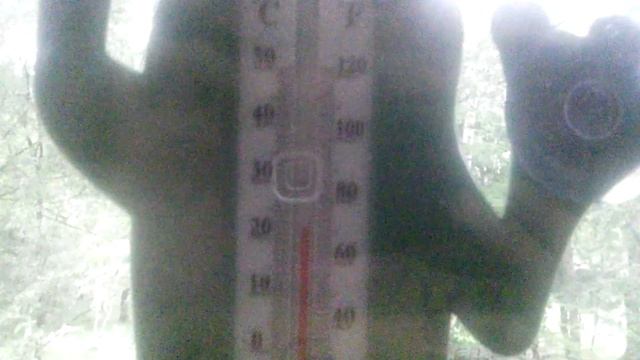 Как показывает С и F уличный термометр смотреть онлайн