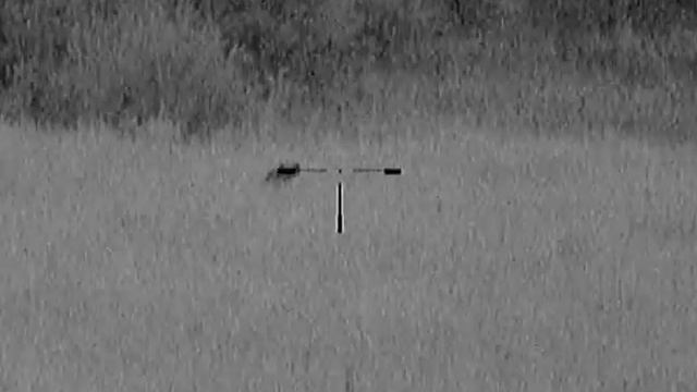 Pulsar 750.Охота на кабана смотреть онлайн